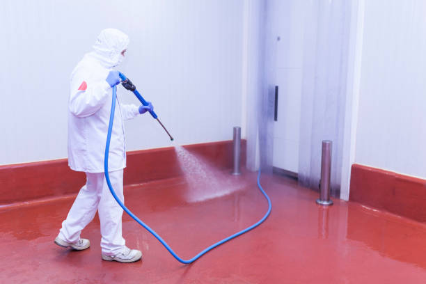 Professional Pressure Washing Services in San Gabriel, CA
